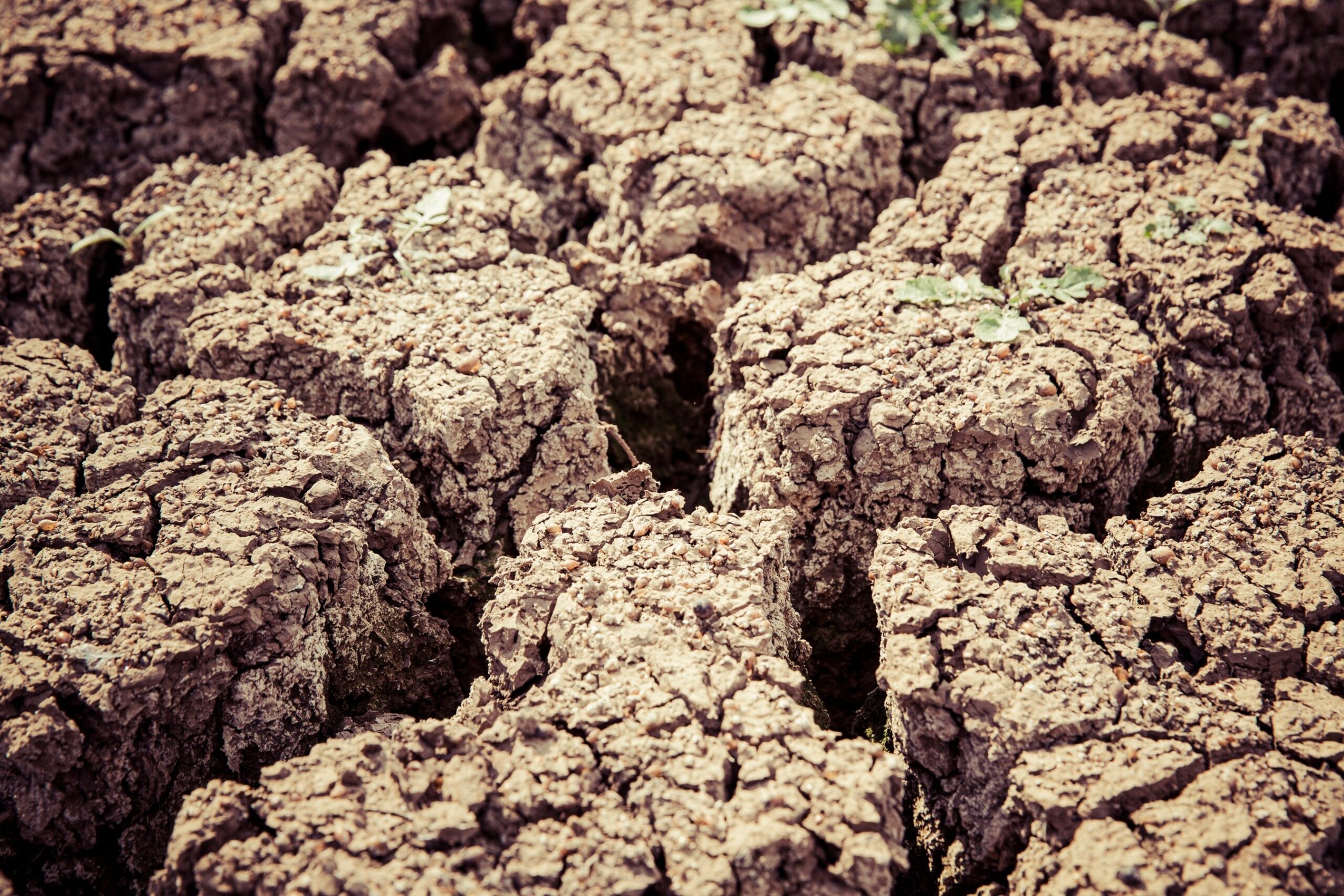 آمادگی برای خشکسالی